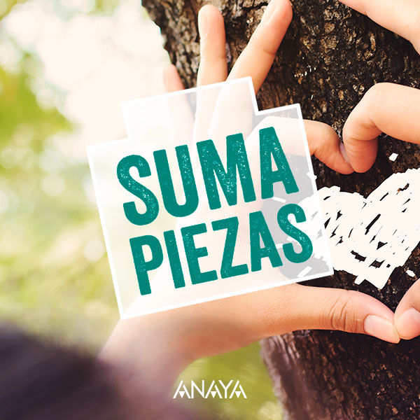 suma-piezas-anaya-secundaria-bachillerato
