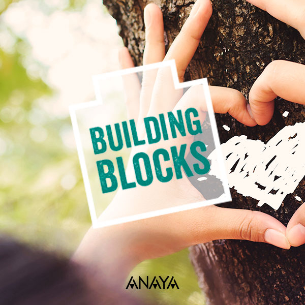 building-blocks