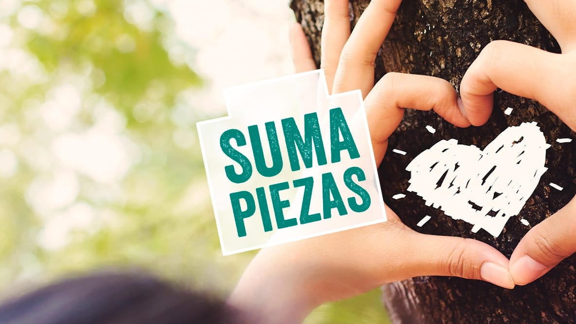 suma-piezas-proyecto-educativo-eso-y-bachillerato-anaya