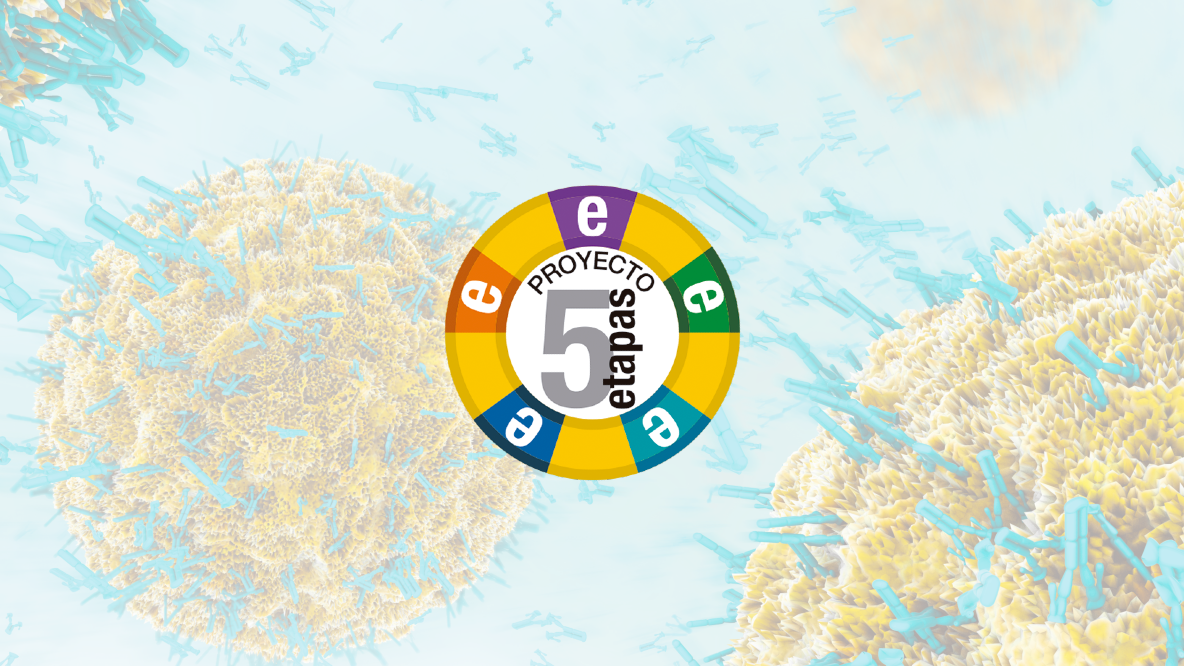 proyecto-cinco-etapas_cabecera