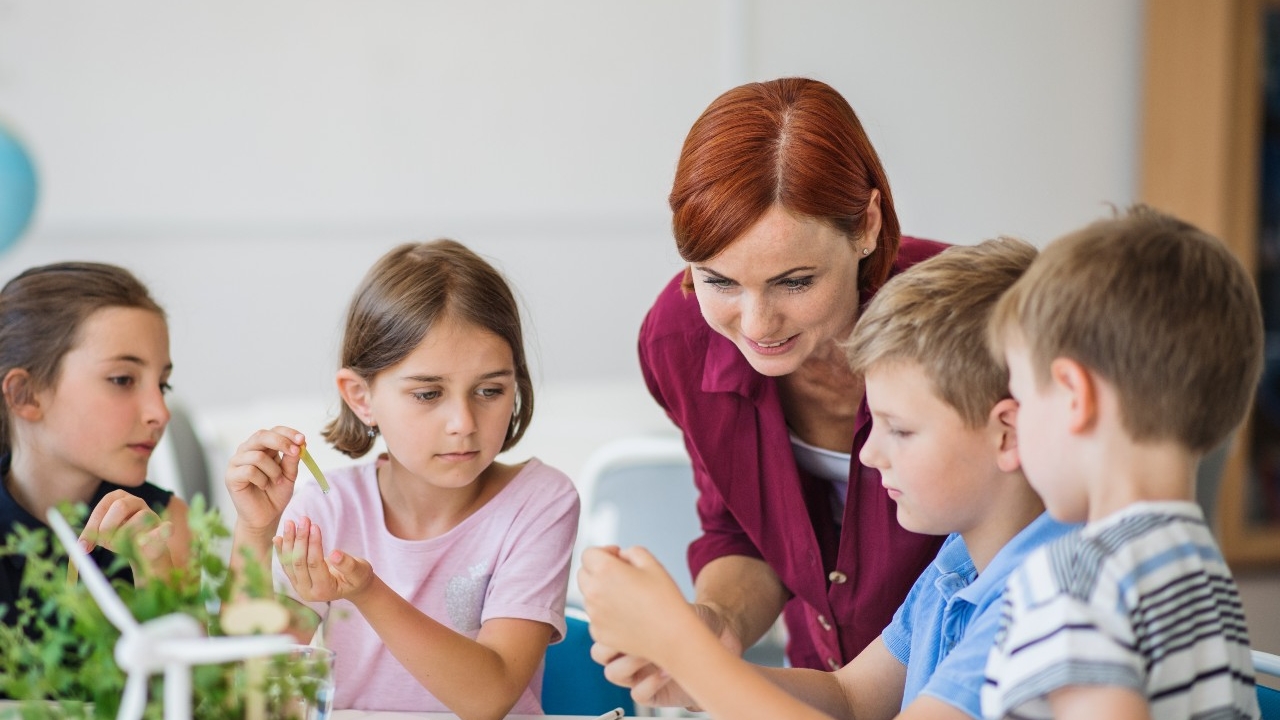 Introducir los contenidos de educaci&oacute;n ambiental en tu aula