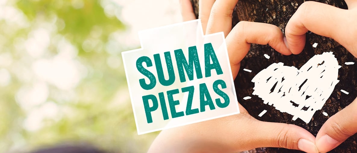 suma-piezas-proyecto-educativo-eso-y-bachillerato-anaya