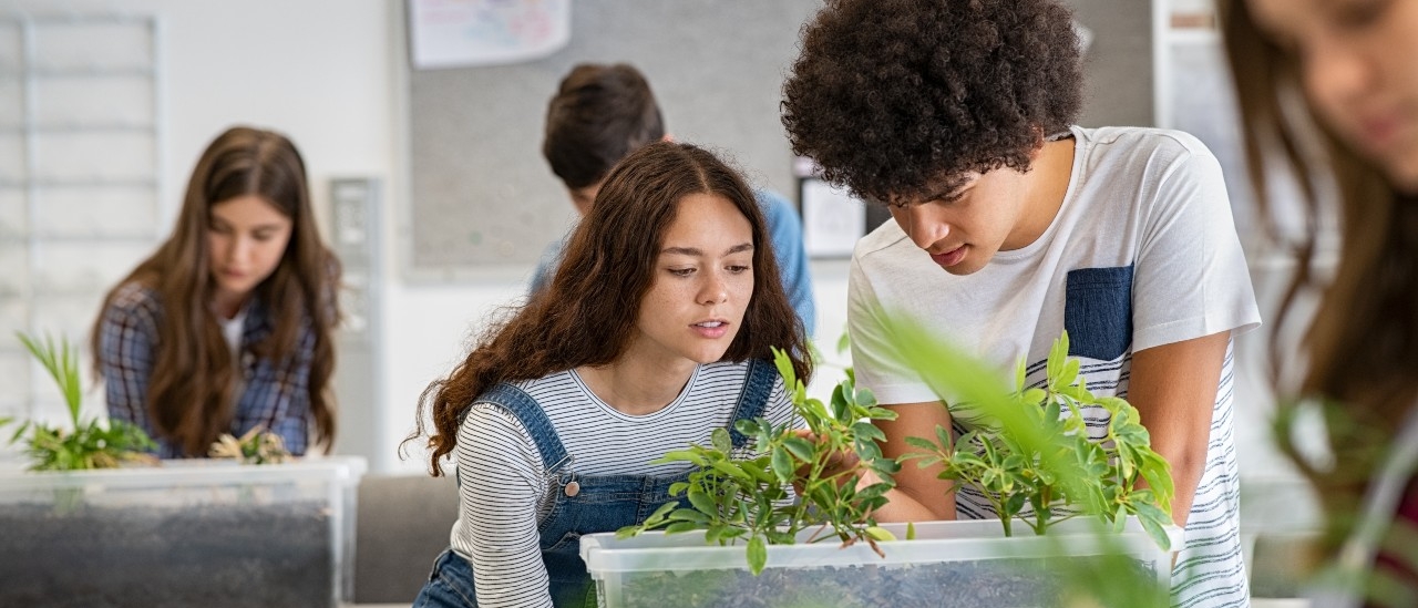 8 actividades de educaci&oacute;n ambiental para hacer en clase 02