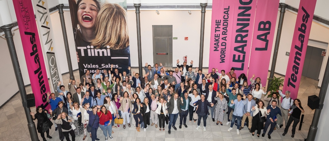 Presentaci&oacute;n Tiimi__group