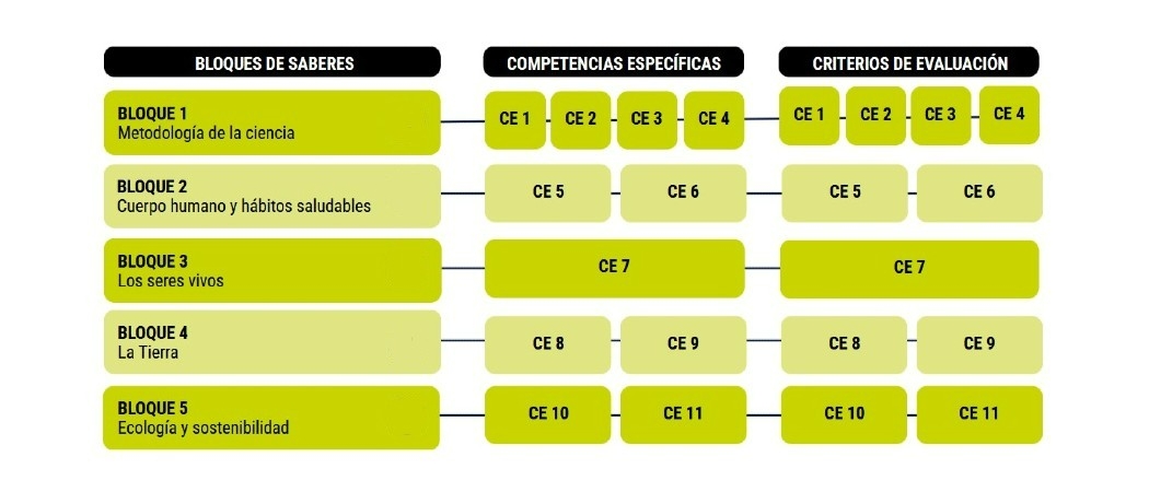Cambios curriculares Biolog&iacute;a y Geolog&iacute;a 3