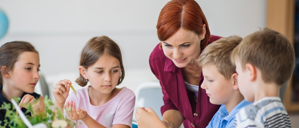 Introducir los contenidos de educaci&oacute;n ambiental en tu aula