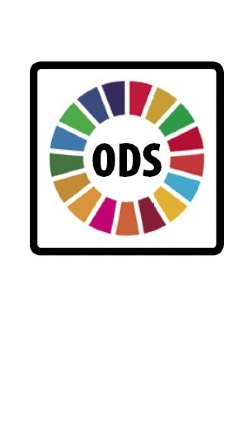 clave-ods