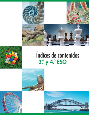 40442bed3783a20ac63dd18da4a101885dd58a4f_BS010809_indice.png