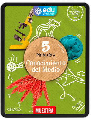 dccbaeec186c318c6f4559d04a83e2392722512b_ANA_DIG_25.png