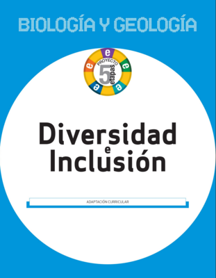 b9c5bb464a65fb4489262106709ab15bbfb45002_BS01121701_adaptacion_curricular.png
