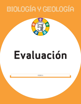 7444f69c44303d9f95da79631bf89c0ea296d11a_BS01121701_rubrica.png